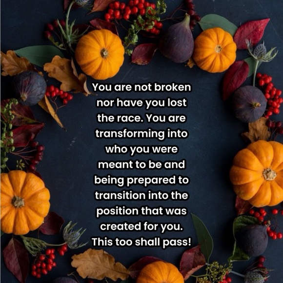 Welcome to My Closet - Picture 4 of 6